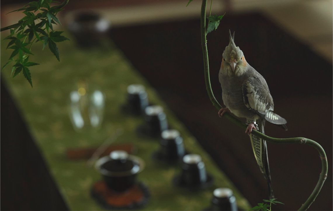 茶席慢享 一