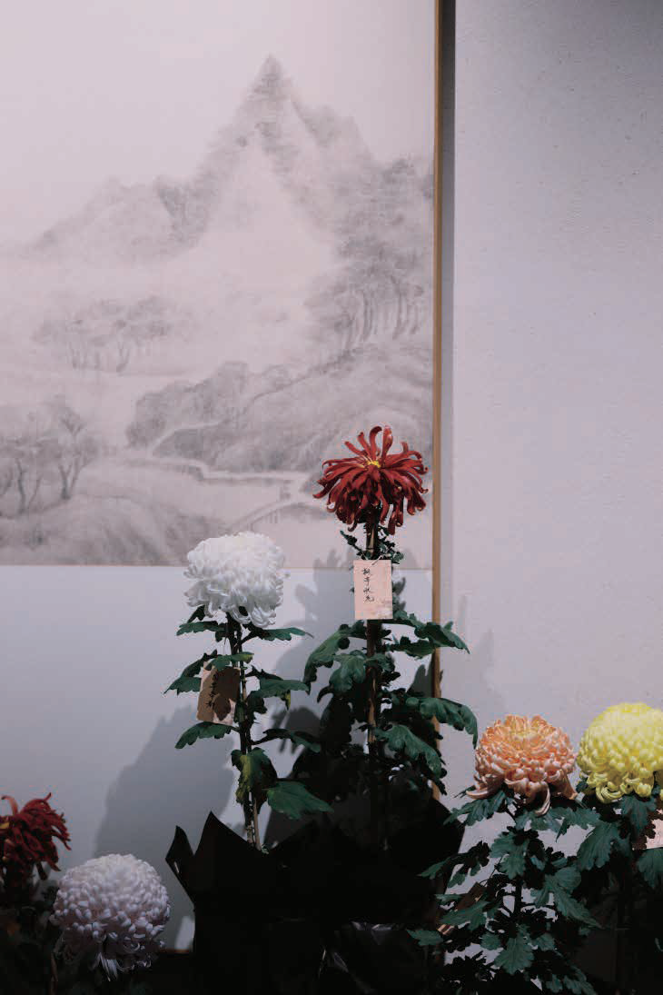 五云间的节日